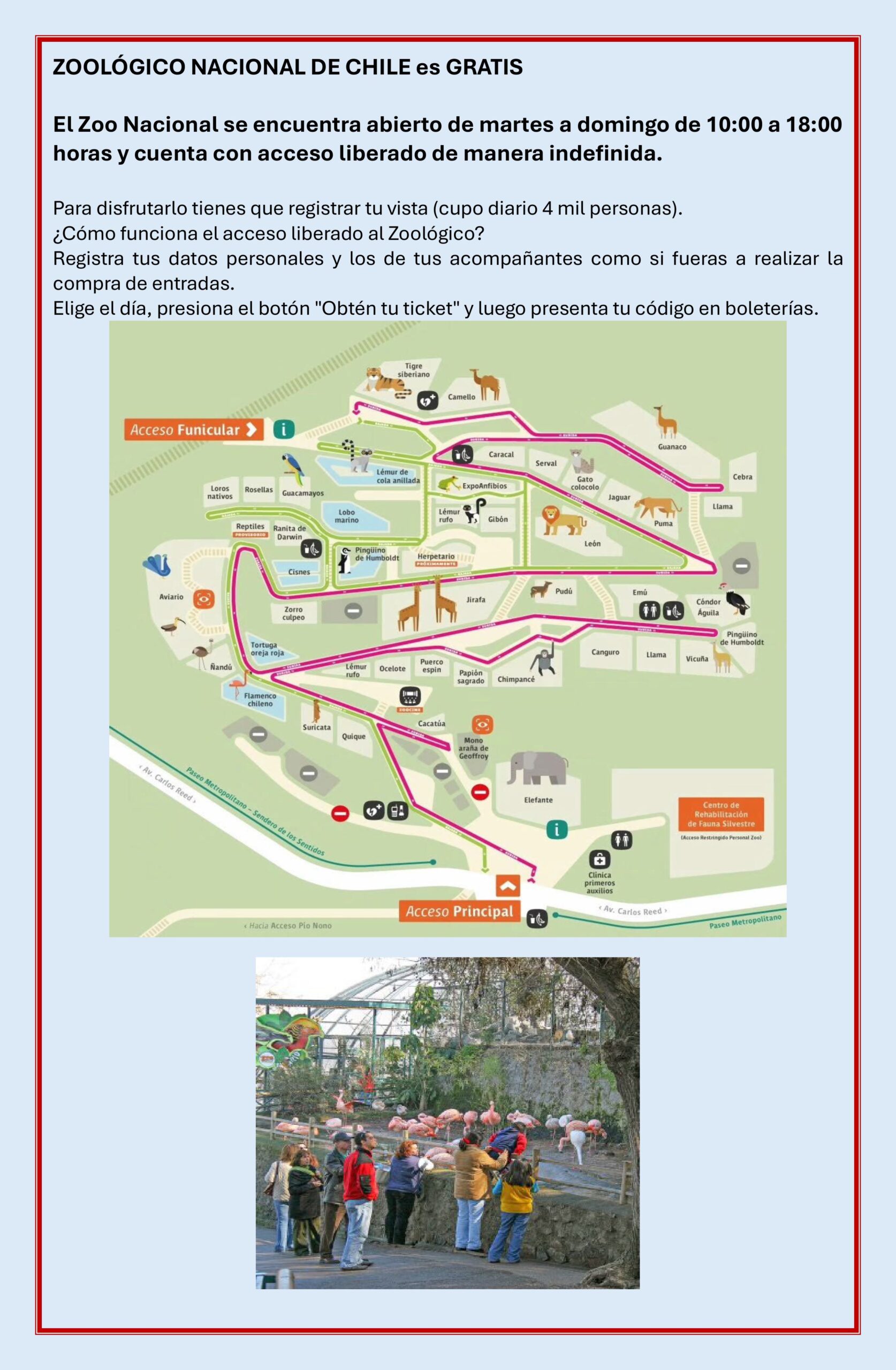 Actividades VACACIONES DE INIVIERNO 2026-images-9